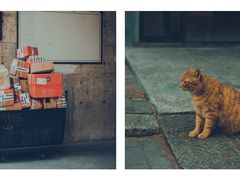 -半岛1919创意园区