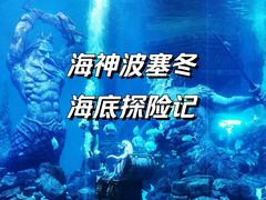 -哈尔滨波塞冬海底世界