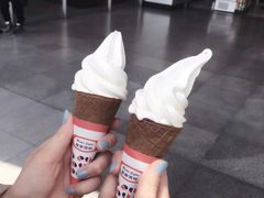 -富豪雪糕车流动点(尖沙咀店)