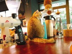 -咖法森林·咖啡  酒吧(天河店)