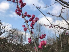 -大宁灵石公园西门票处