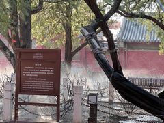 -北京市劳动人民文化宫(太庙)