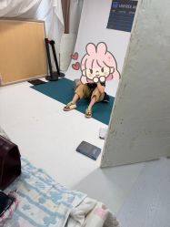 -倾城宝贝儿童摄影(广州天河店)