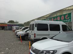 -龙大花卉苗木市场