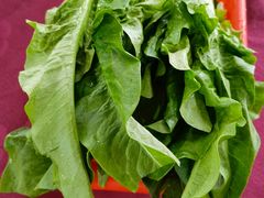 杂菜-麻奢鸽农庄·梦里水乡