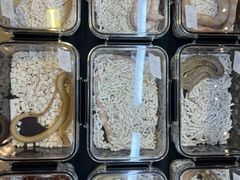 -国际非物质文化遗产博览园