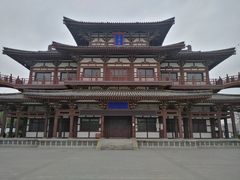 -西安乐游原