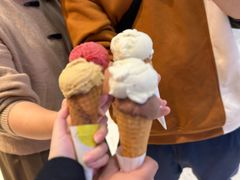 -LUNEURS月乐诗·法式冰淇淋(北外滩来福士广场店)