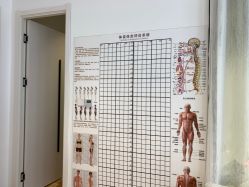 -上海美丽妈妈产后修复中心(哈尔滨总店)