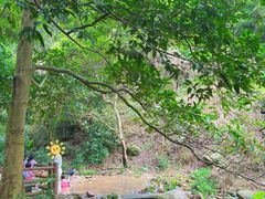 -火炉山森林公园