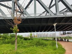 -汉水公园