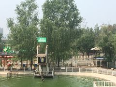 -北京鹿世界主题园