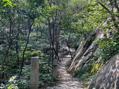 -北京凤凰岭
