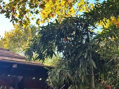 -春晖园度假酒店温泉