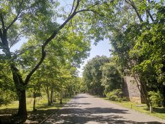 -大明幻境第一城