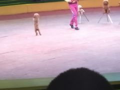 -山西乌金山旅游区