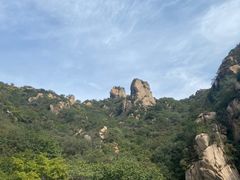 -大岭沟猕猴桃谷风景区