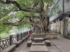 -小洲村