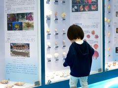 -苏州海洋馆