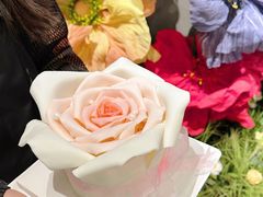 -卷心卷意·轻甜蛋糕(新光天地店)