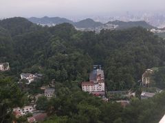 -大金鹰园