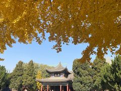 -西安碑林博物馆