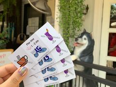 -TrueLove @ Neverland (Husky Cafe)