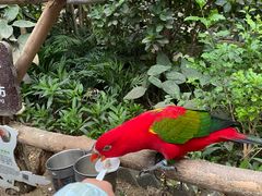 -南宫五洲植物乐园