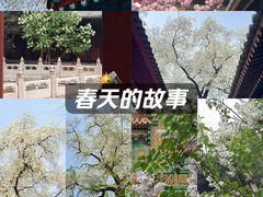 -北京国子监胡同