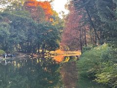 -潮发潮汕牛肉店(龙洞店)