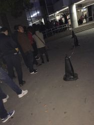 -上海交通大学医学院附属上海儿童医学中心(陆家嘴总院区)