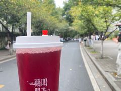-鸡鸣赐茶(鸡鸣寺路店)