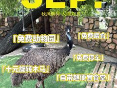 -金庭庄园酒店-停车场