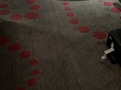 -南京禄口机场雅高铂尔曼大酒店