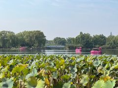 -大兴滨河森林公园