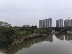 -王借岗森林公园