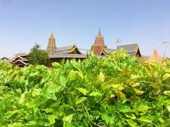 -呀路古热带植物园