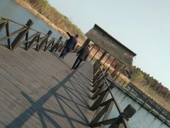 -溱湖国家湿地公园