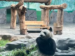 -秦皇岛野生动物园
