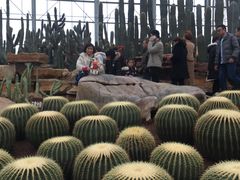 -南通洲际绿博园