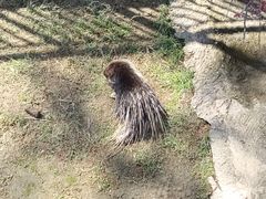 -宁波野生动物园