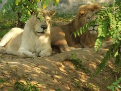 -石家庄市动物园