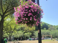 -苏州上方山国家森林公园