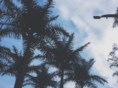 -西安国际创新人才交流中心•药浴温泉