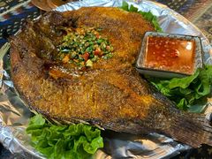 -蜗牛小馆醉乡民谣云南菜(惠新西里店)