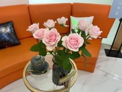 -Flawless skin法思轻奢美肌