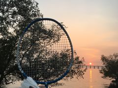 -宝安西湾红树林湿地公园