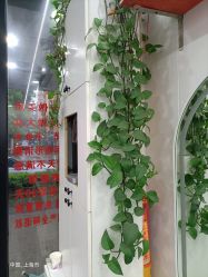-青霖·飘逸造型