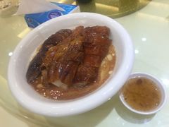 陈皮烧鹅-松雅轩(大源店)