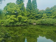-上海滨江森林公园